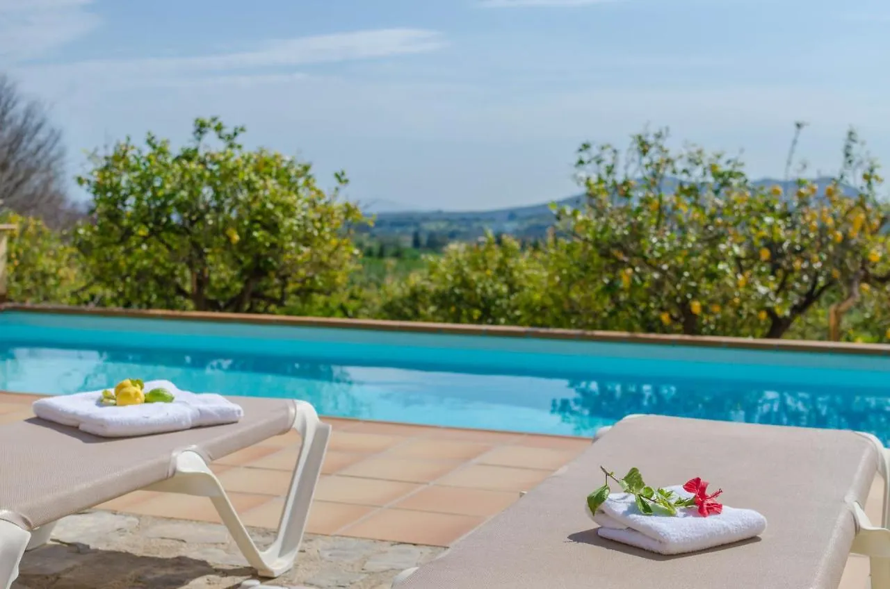 Yourhouse Es Molinet Villa Selva